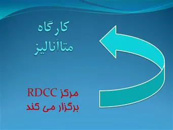 برگزاری کارگاه " متاآنالیز" ویژه اعضای هیات علمی توسط مرکز توسعه و هماهنگی پژوهش دانشگاه (RDCC):