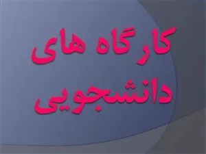 برگزاری کارگاه های ویژه دانشجویی اسفند ماه توسط مرکز توسعه و هماهنگی پژوهش دانشگاه (RDCC):