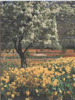 بزرگداشت روز معلم 