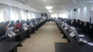 برگزاری کارگاه آموزشی ارزیابی عملکرد کارکنان به صورت مکانیزه