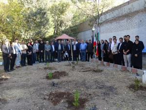 همزمان با روز پرستار، یاد شهدای سلامت با کاشت ۲۰ اصله نهال زنده نگه داشته شد