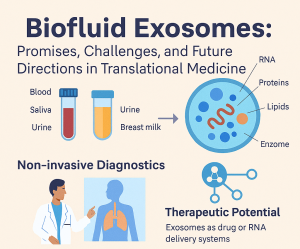 Unlocking the Promise of Exosomes: Tabriz Researchers Chart the Future of Translational Medicine