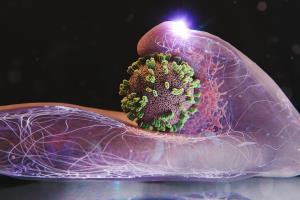 دو فوتی تاییدشده آنفلوآنزا در آذربایجان شرقی/ وضعیت تحت کنترل است