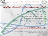 کارگاه مهندسی ژنتیک و کلونینگ مولکولی -  - 
